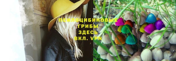 mdma Медвежьегорск