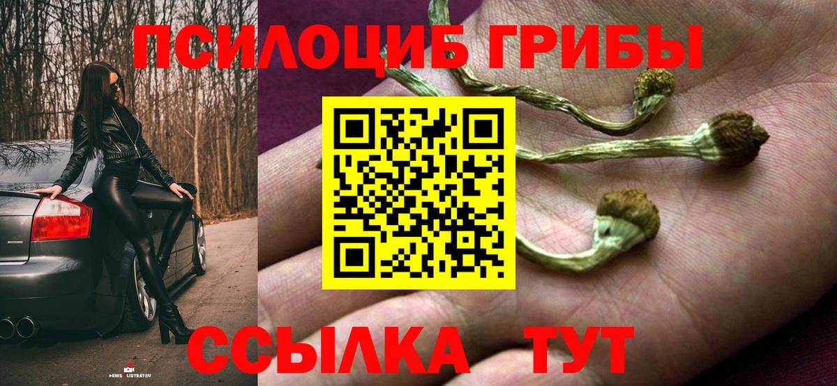 Галлюциногенные грибы Cubensis  Вход с VPN  Ижевск 