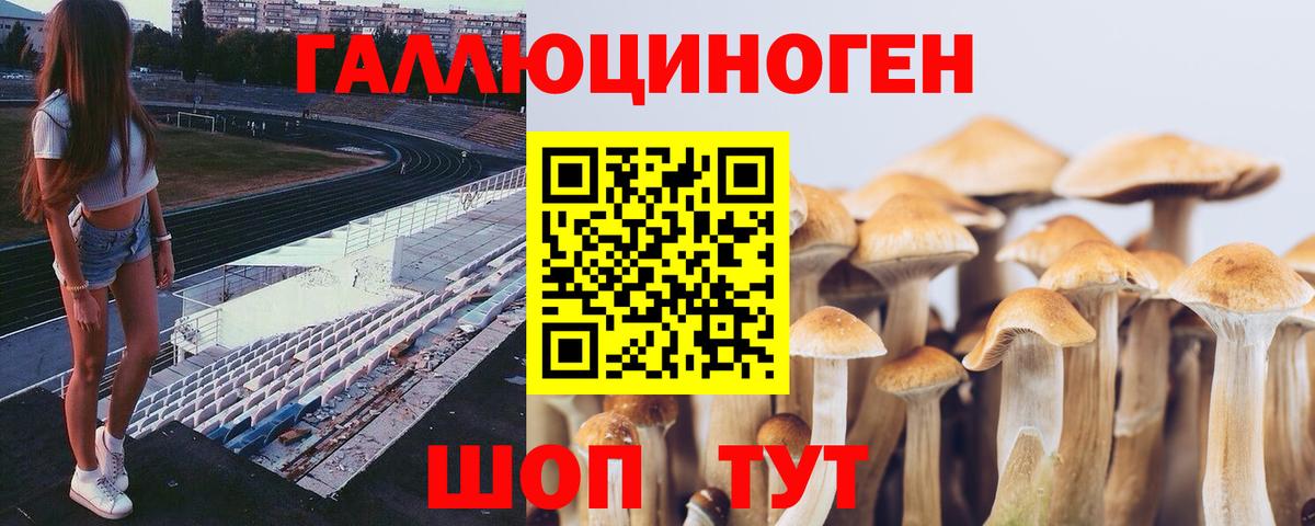 Галлюциногенные грибы Psilocybine cubensis Ижевск